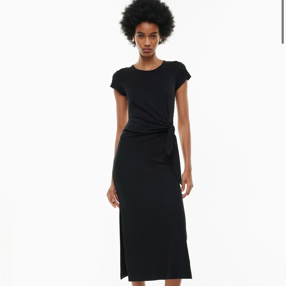 Aritzia Fortune Midi Dress